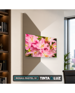 ROSAS PASTEL IV