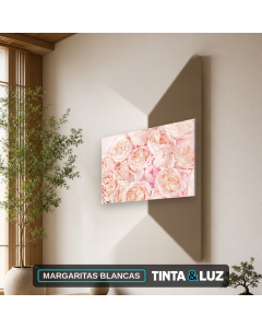 MARGARITAS BLANCAS