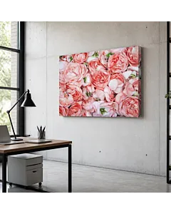 ROSAS ROSADAS V