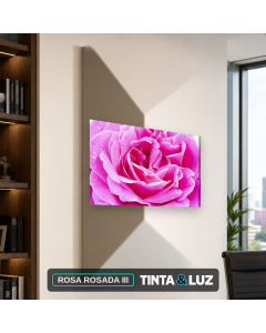 ROSA ROSADA III