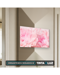 CRISANTEMOS ROSADOS III