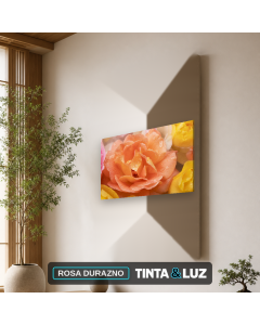 ROSA DURAZNO