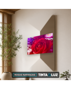 ROSAS NARANJAS