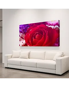 ROSAS NARANJAS