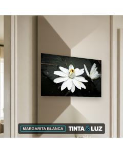 MARGARITA BLANCA