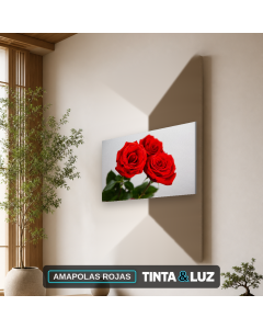 AMAPOLAS ROJAS