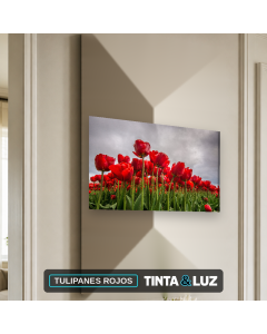 TULIPANES ROJOS