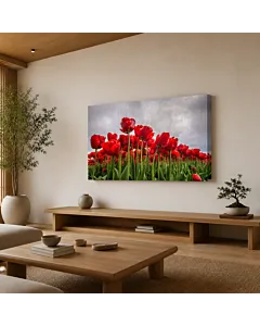 TULIPANES ROJOS
