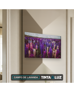 CAMPO DE LAVANDA