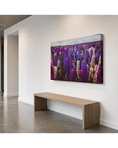 CAMPO DE LAVANDA