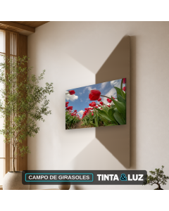 CAMPO DE GIRASOLES