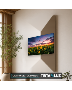 CAMPO DE TULIPANES