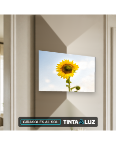 GIRASOLES AL SOL