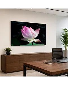 FLOR DE LOTO ROSA