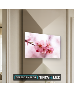 CEREZO EN FLOR