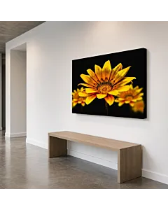 FLOR DORADA
