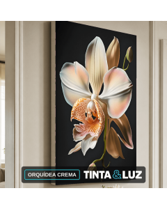 ORQUÍDEA CREMA