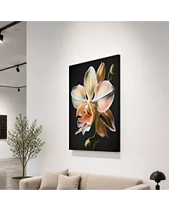 ORQUÍDEA CREMA