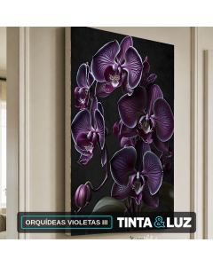 ORQUÍDEAS VIOLETAS III