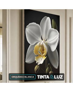 ORQUÍDEA BLANCA