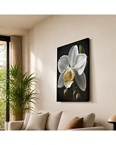 ORQUÍDEA BLANCA