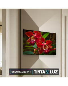 ORQUÍDEA ROJA II