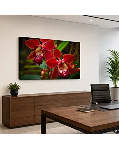 ORQUÍDEA ROJA II