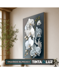 ORQUÍDEAS BLANCAS II