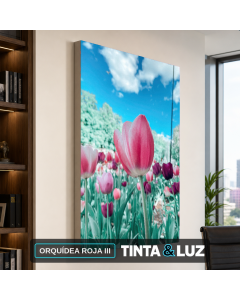 ORQUÍDEA ROJA III