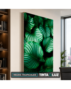 HOJAS TROPICALES
