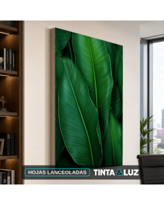 HOJAS LANCEOLADAS