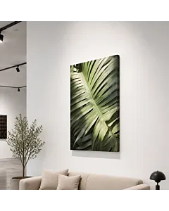 PALMERA PLATEADA