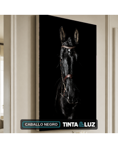 CABALLO NEGRO