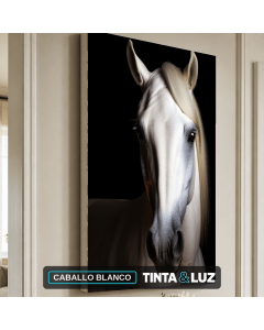CABALLO BLANCO