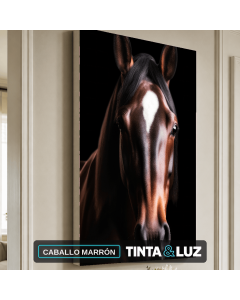 CABALLO MARRÓN