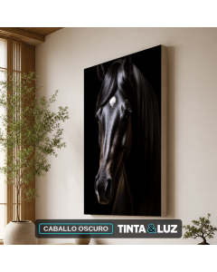 CABALLO OSCURO