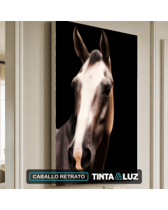 CABALLO RETRATO