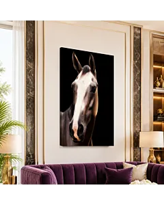 CABALLO RETRATO