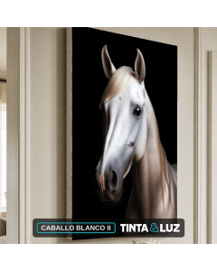 CABALLO BLANCO II