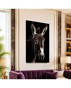 BURRO