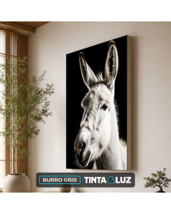 BURRO GRIS