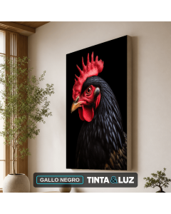 GALLO NEGRO