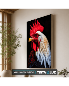 GALLO COLORIDO
