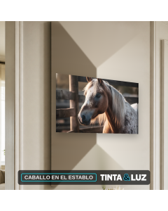 CABALLO EN EL ESTABLO