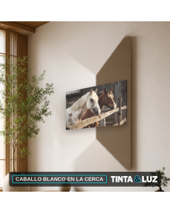 CABALLO BLANCO EN LA CERCA