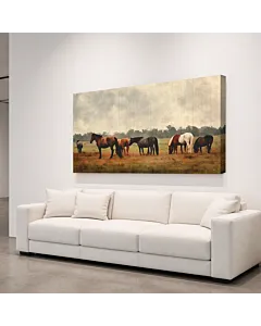 CARRETA EN EL CAMPO