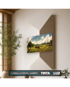 CABALLO EN EL CAMPO