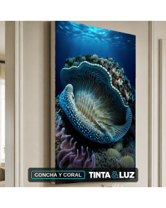 CONCHA Y CORAL