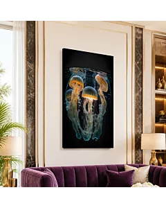 MEDUSAS LUMINOSAS