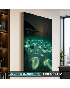 AGUAS BIOLUMINISCENTES